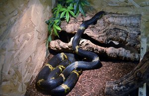 k-DSC_0133.JPG k-DSC_0133.JPG