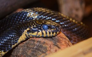 k-DSC_0014.JPG k-DSC_0014.JPG