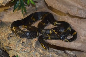 k-DSC_0102.JPG k-DSC_0102.JPG