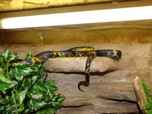 k-DSCF6314.JPG k-DSCF6314.JPG