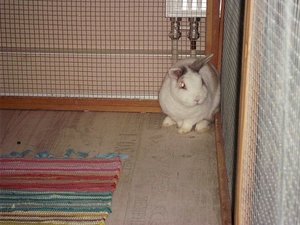 mira108co8x.jpg mira108co8x.jpg