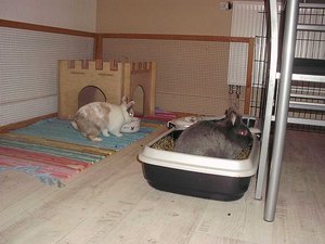 mirafienchen12cbo26.jpg mirafienchen12cbo26.jpg