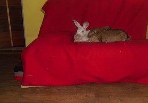 9xcdj69z.jpg 9xcdj69z.jpg