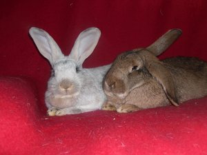 7lltfjqx.jpg 7lltfjqx.jpg