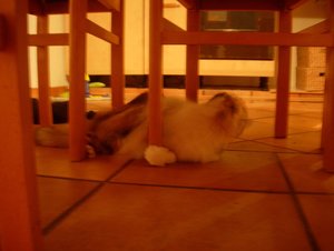 DSCN7250.JPG DSCN7250.JPG