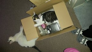 20131222_103801.jpg 20131222_103801.jpg