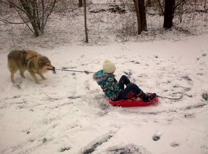 Guter Rutsch 2012 b.JPG