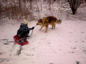 Guter Rutsch 2012.JPG