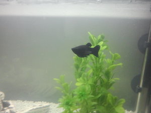 2014-01-09 13.58.16.jpg