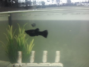 2014-01-09 13.58.06.jpg