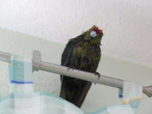 Meine Kamera 459.JPG Meine Kamera 459.JPG