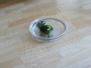 Meine Kamera 467.JPG Meine Kamera 467.JPG