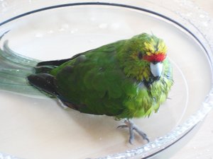 Meine Kamera 474.JPG Meine Kamera 474.JPG