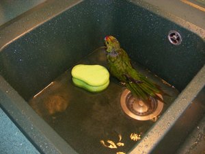 neue Bilder von 2012 2013 574.JPG neue Bilder von 2012 2013 574.JPG