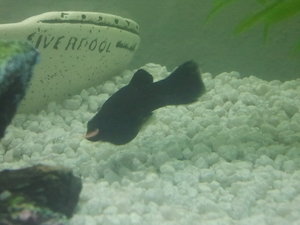 2014-01-10 14.42.13.jpg