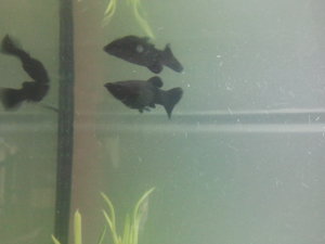 2014-01-10 14.40.07.jpg