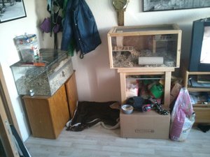 2014-01-12 16.19.36.jpg