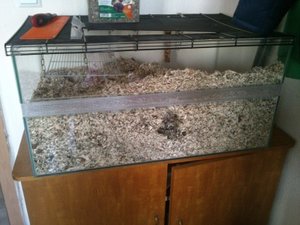 2014-01-12 16.19.55.jpg