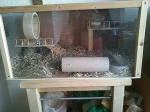 2014-01-12 16.19.47.jpg