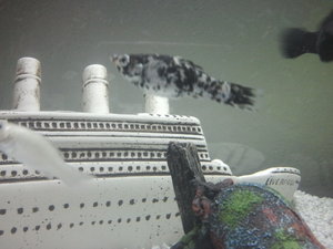 2014-01-14 16.00.48.jpg