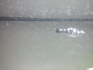 2014-01-14 15.50.46.jpg