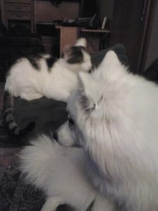 0be5ee42.m.jpg 0be5ee42.m.jpg