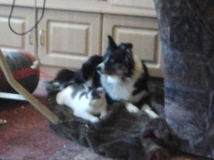 9ec2e4bf.m.jpg 9ec2e4bf.m.jpg