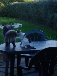 71e1d777.m.jpg 71e1d777.m.jpg