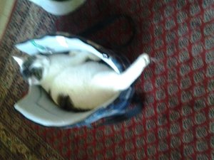 732298f1.l.jpg 732298f1.l.jpg