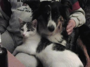 c2bb1241.m.jpg c2bb1241.m.jpg