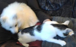 c70e1a90.l.jpg c70e1a90.l.jpg