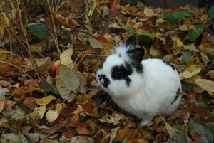 img9225cao9f4dxu7.jpg img9225cao9f4dxu7.jpg