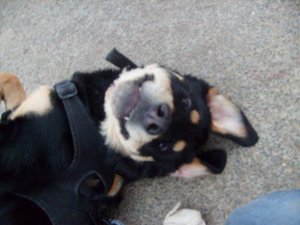 26-10-10.jpg 26-10-10.jpg