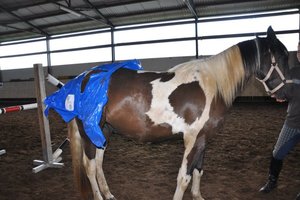 263535_223727714326789_6569507_n.jpg 263535_223727714326789_6569507_n.jpg