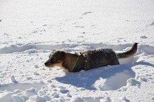 17002014oy.jpg 17002014oy.jpg