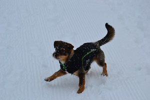 17001953ad.jpg 17001953ad.jpg