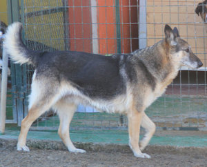 lisa_01_13_05.jpg lisa_01_13_05.jpg