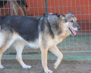 lisa_01_13_06.jpg lisa_01_13_06.jpg