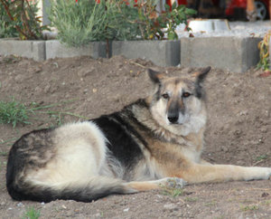 lisa_03_13_04.jpg lisa_03_13_04.jpg