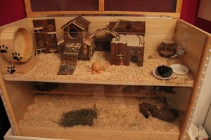 Käfig CROP.jpg Käfig CROP.jpg