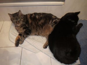 6462326131386135.jpg 6462326131386135.jpg