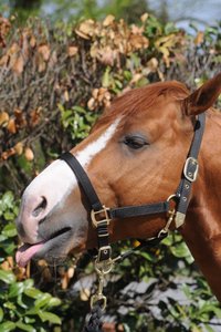 DSC_4116 (425x640).jpg DSC_4116 (425x640).jpg