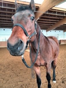 e16b367e.m.jpg e16b367e.m.jpg