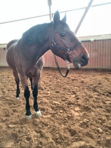 7c1bb1cf.m.jpg 7c1bb1cf.m.jpg