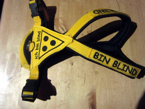 handicap-geschirr-blind.jpg