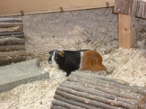 Minna_04_Feb 14.JPG Minna_04_Feb 14.JPG