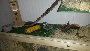 20140214_171309.jpg 20140214_171309.jpg