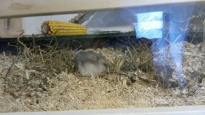 20140214_171212.jpg 20140214_171212.jpg