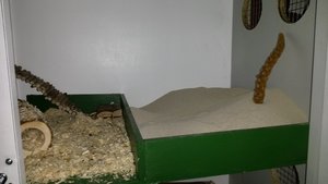 20140214_171331.jpg 20140214_171331.jpg