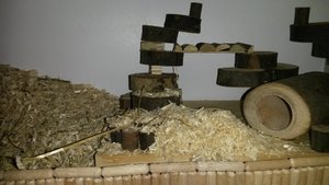 20140214_171337.jpg 20140214_171337.jpg